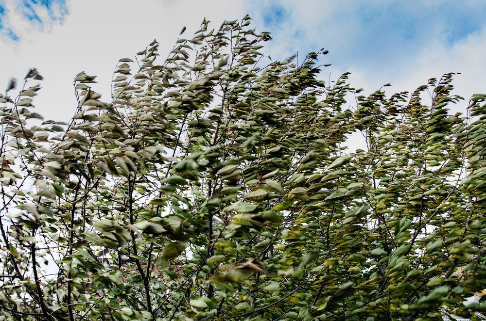 Photograph by Римма Волченко