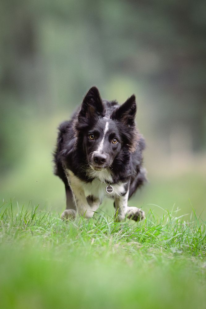 Photograph by Dmitry Ishniyazov