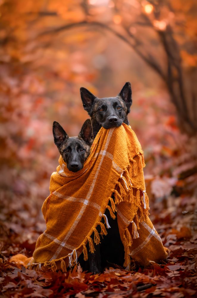 Photograph by Shanna van Mens