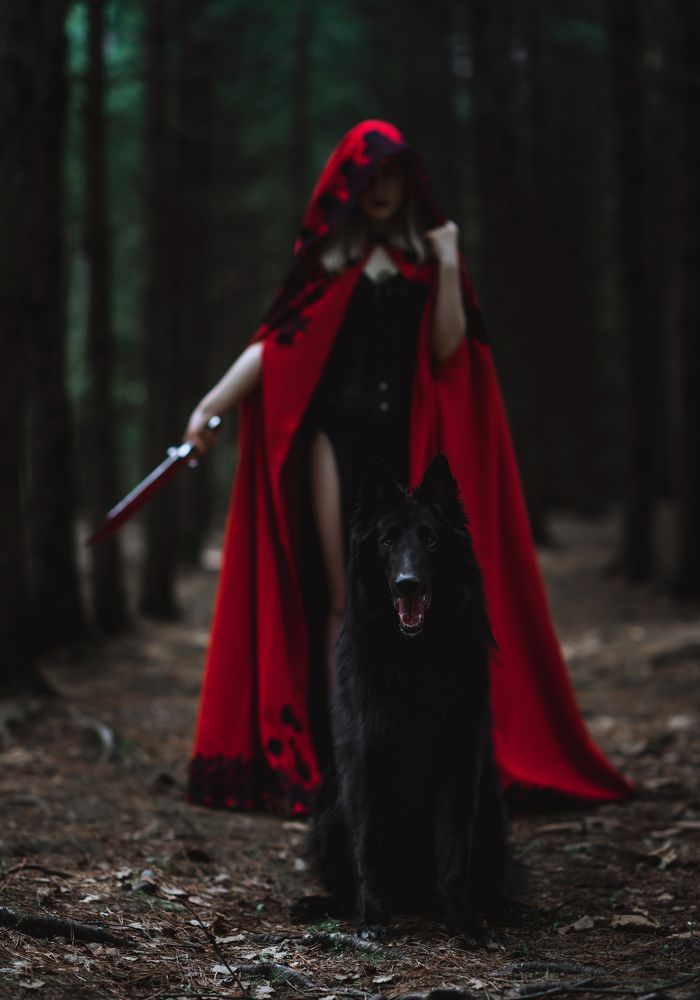 Фотография автора Диана Липкина