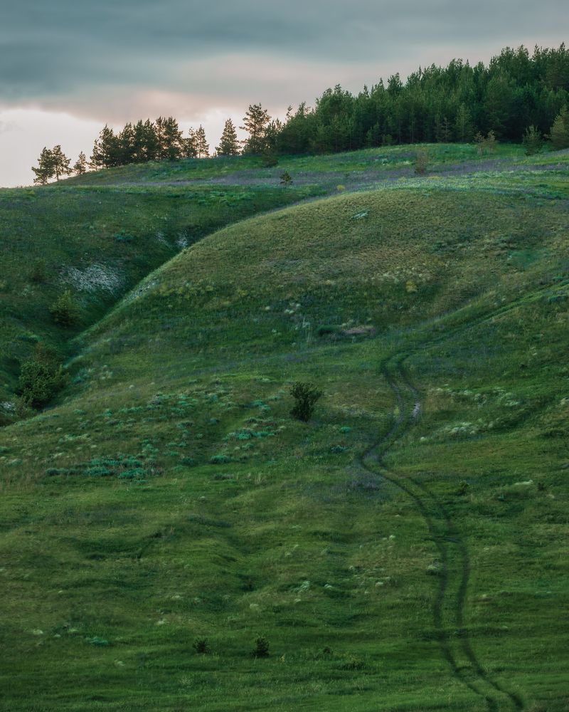 Photograph by Дудников Александр