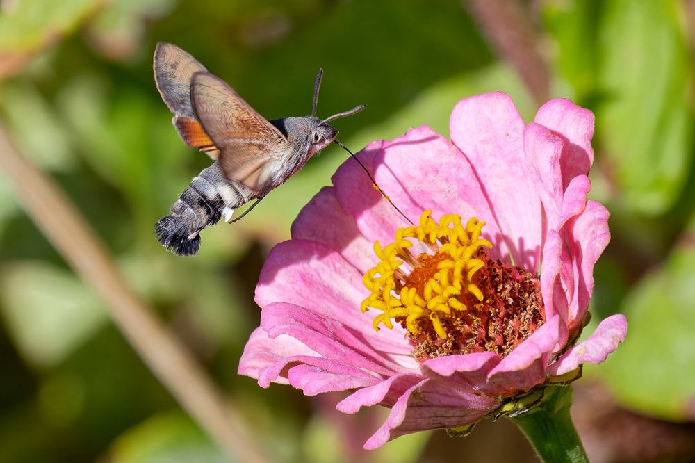 Photograph by Андрей Иванов