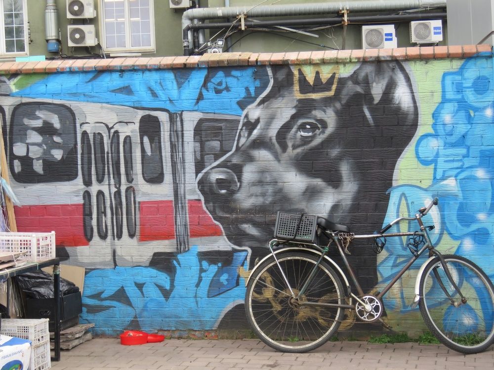 Photograph by Валерия Яскович