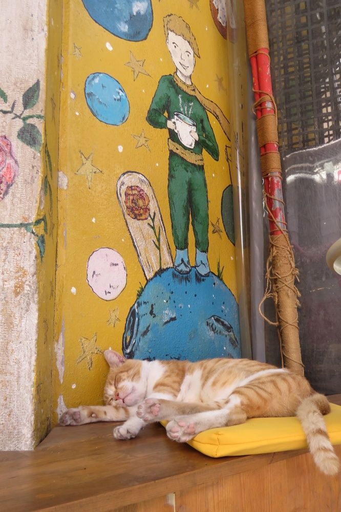 Photograph by Валерия Яскович