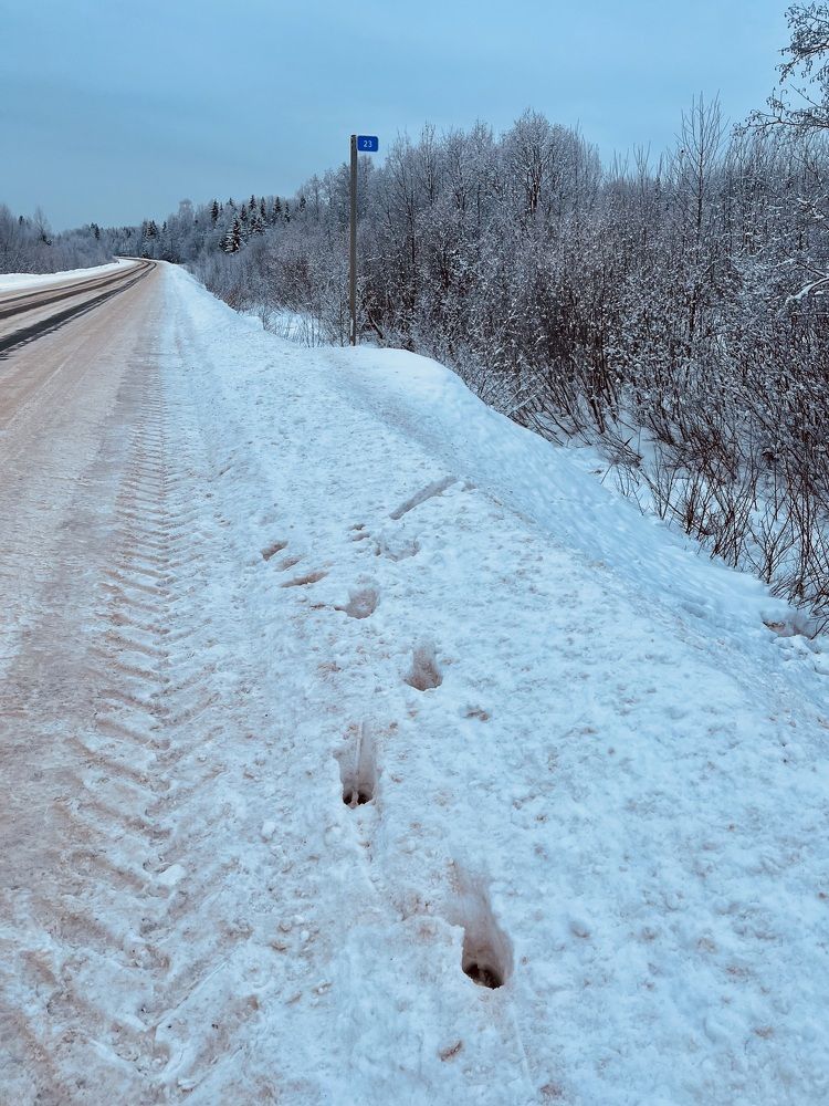 Photograph by Ирина Селиверстова