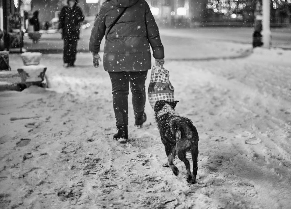 Фотография автора Наталья Новикова