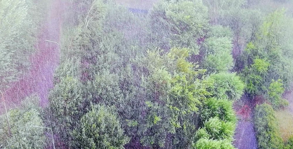 Photograph by Лариса Неудачина