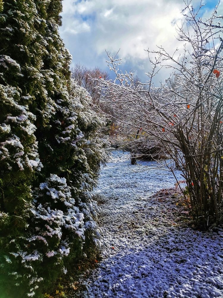 Photograph by Ирина Садовникова