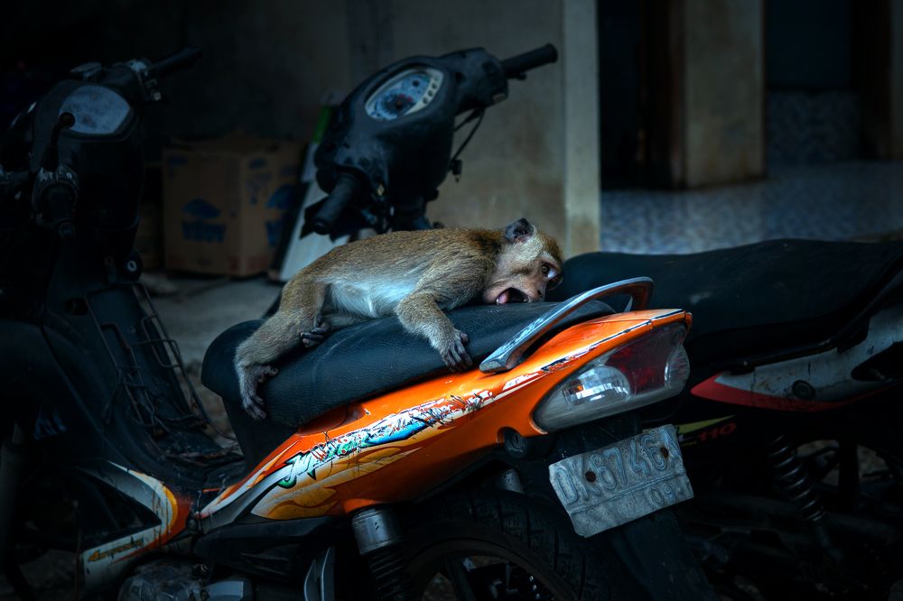 Photograph by Илана Шалакина