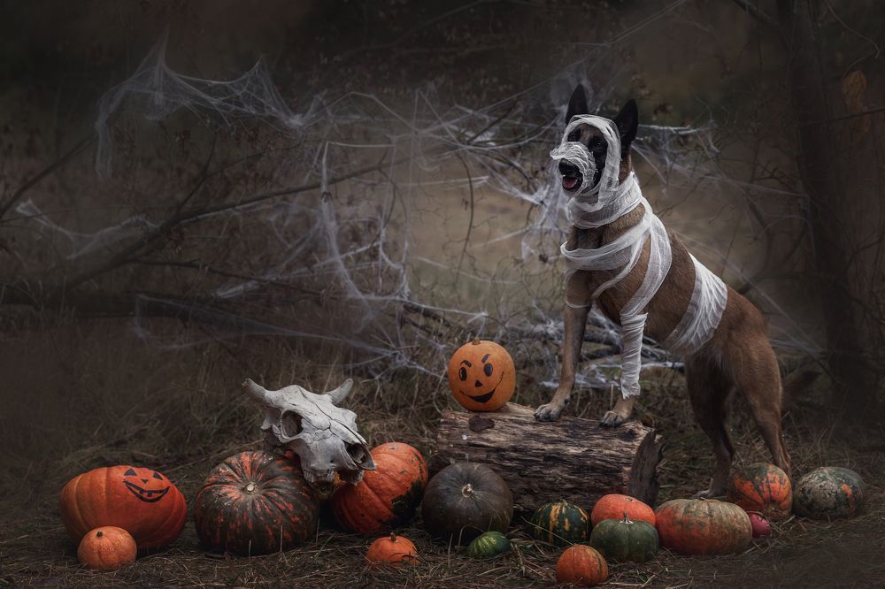 Photograph by Мария Шерскова