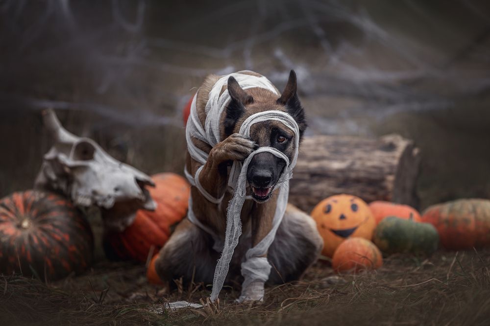 Photograph by Шерскова Мария