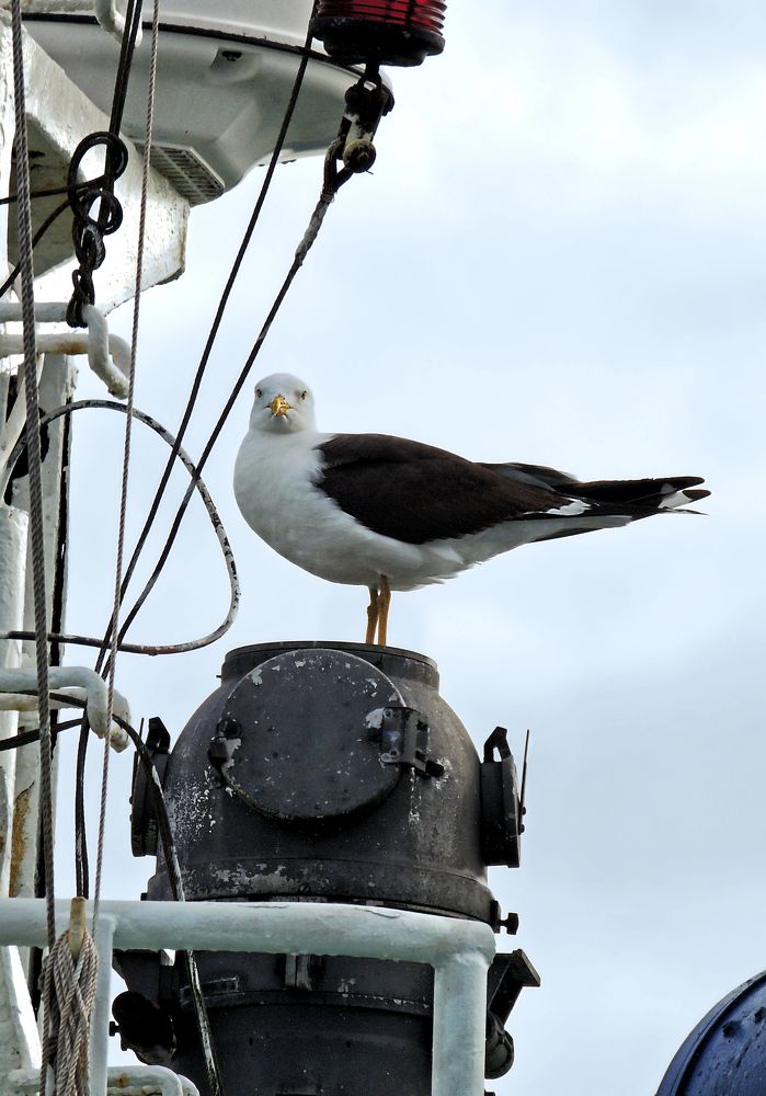 Photograph by Михаил Малец