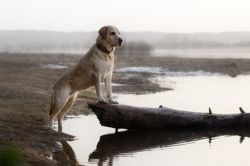 Photograph by Мария Шерскова
