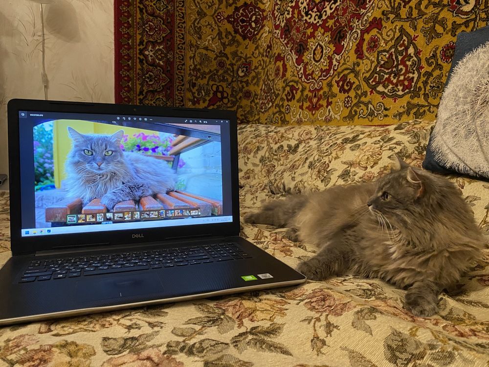 Photograph by Анна Шекурова