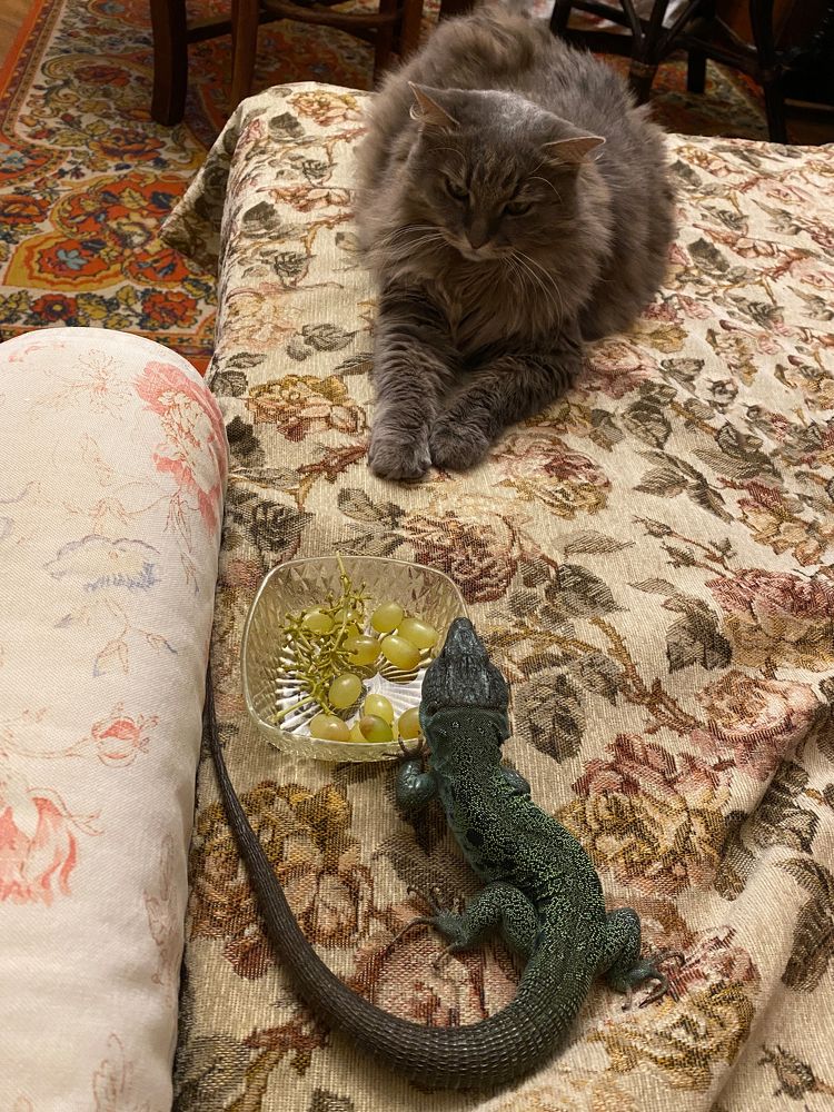 Photograph by Анна Шекурова