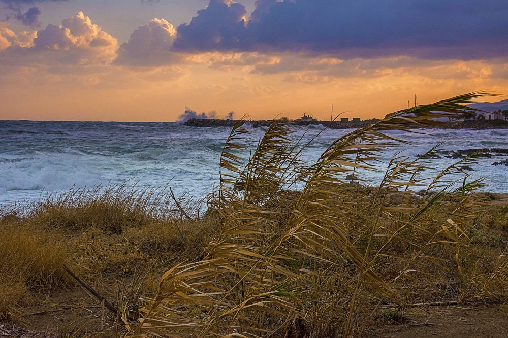 Северный ветер