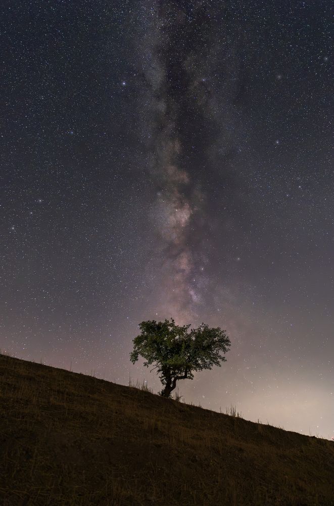 Фотография автора Hamza Khammassi