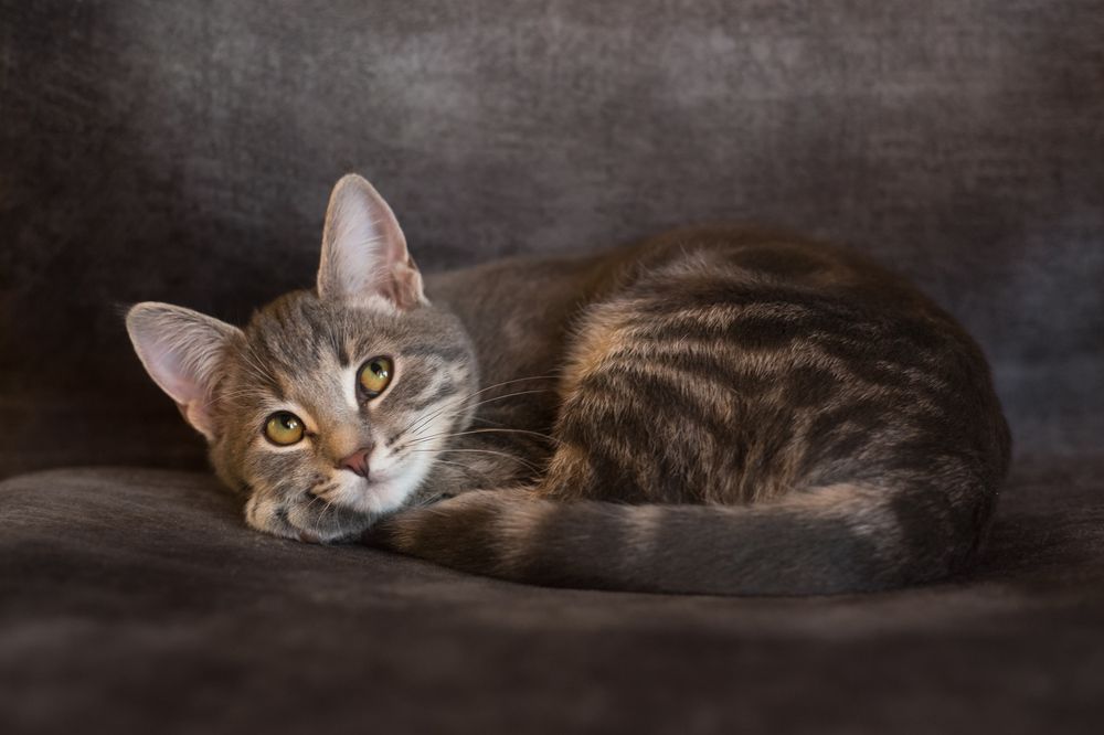 Photograph by Сергей Алексеев