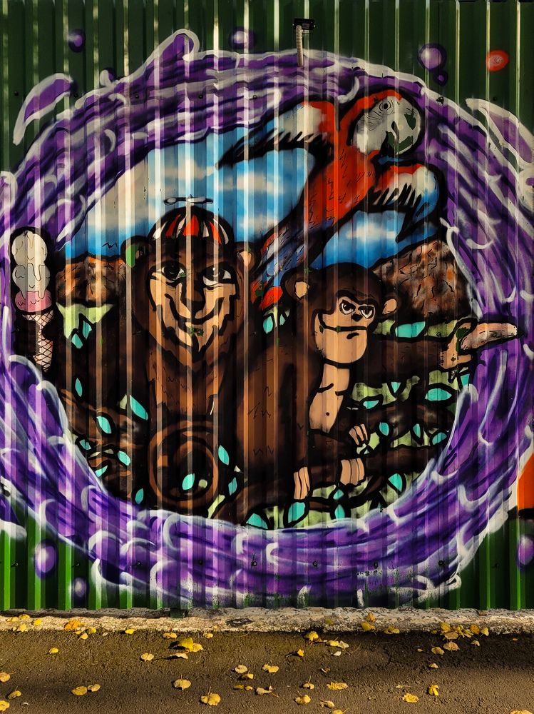 Photograph by Елена