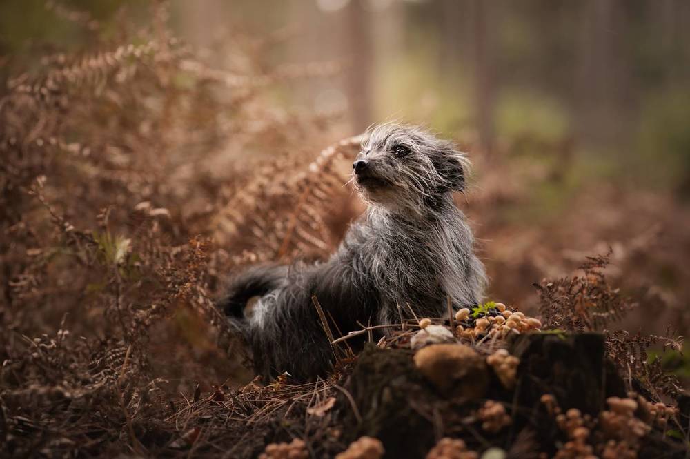 Photograph by By Meert Eline