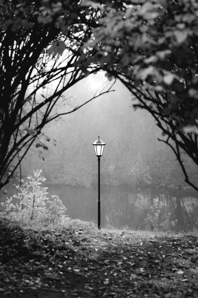 Photograph by Антон Тимошевский