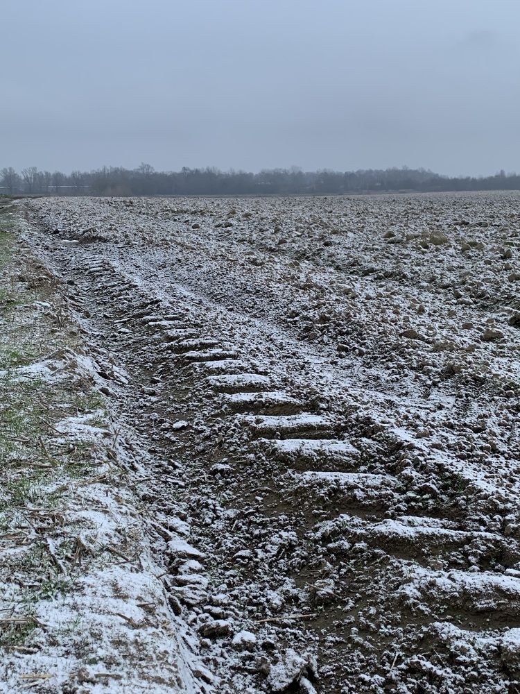 Фотография автора Ирина Шпаковская