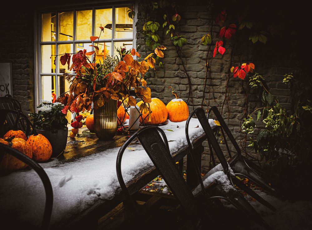 Photograph by Елена Барышева