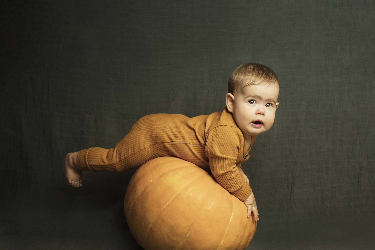 Photo #11280678