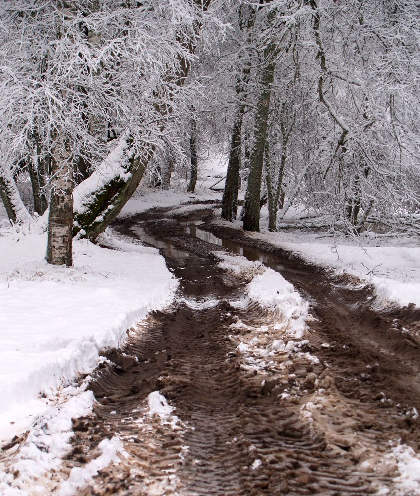 Photograph by Agita Leimane