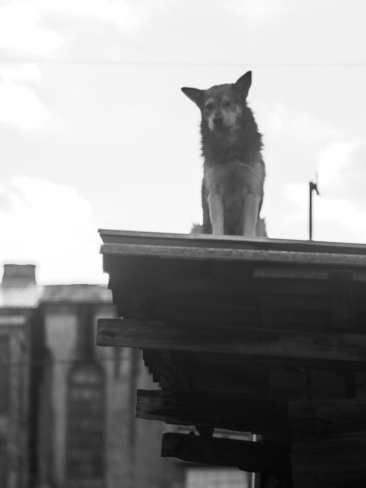 Photograph by Margarita Presidentova