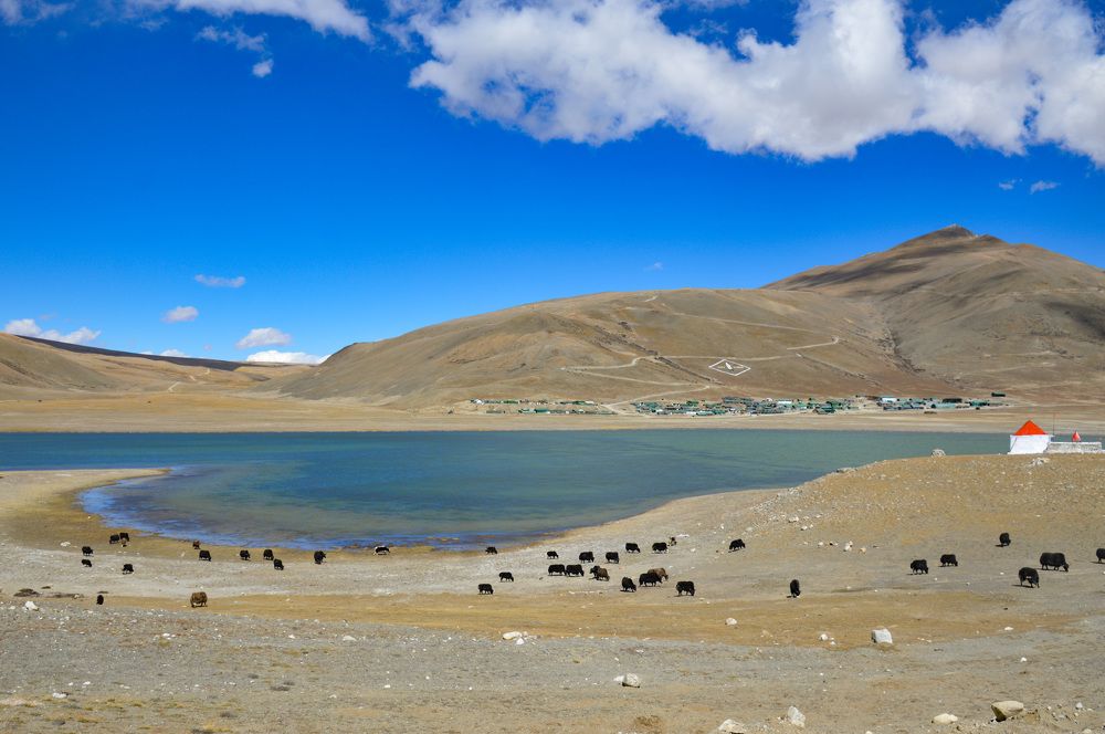 Фотография автора Subhadeep Debnath