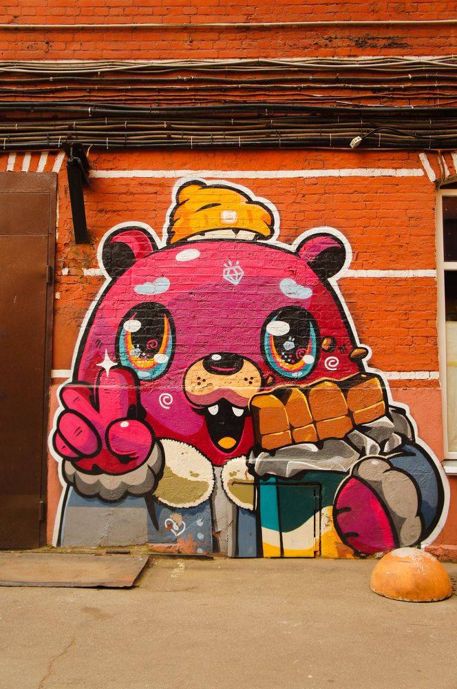 Фотография автора Ксения