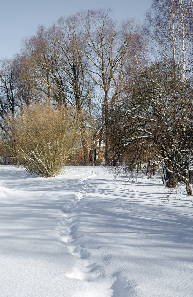 Photograph by Agita Leimane