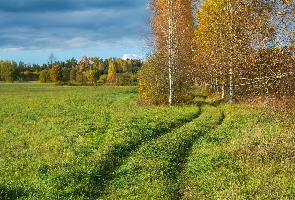 Photograph by Agita Leimane