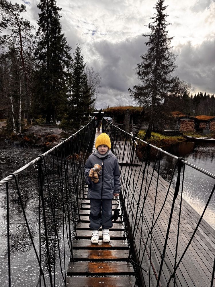 Путешественники Артём и его тигра Мурчик