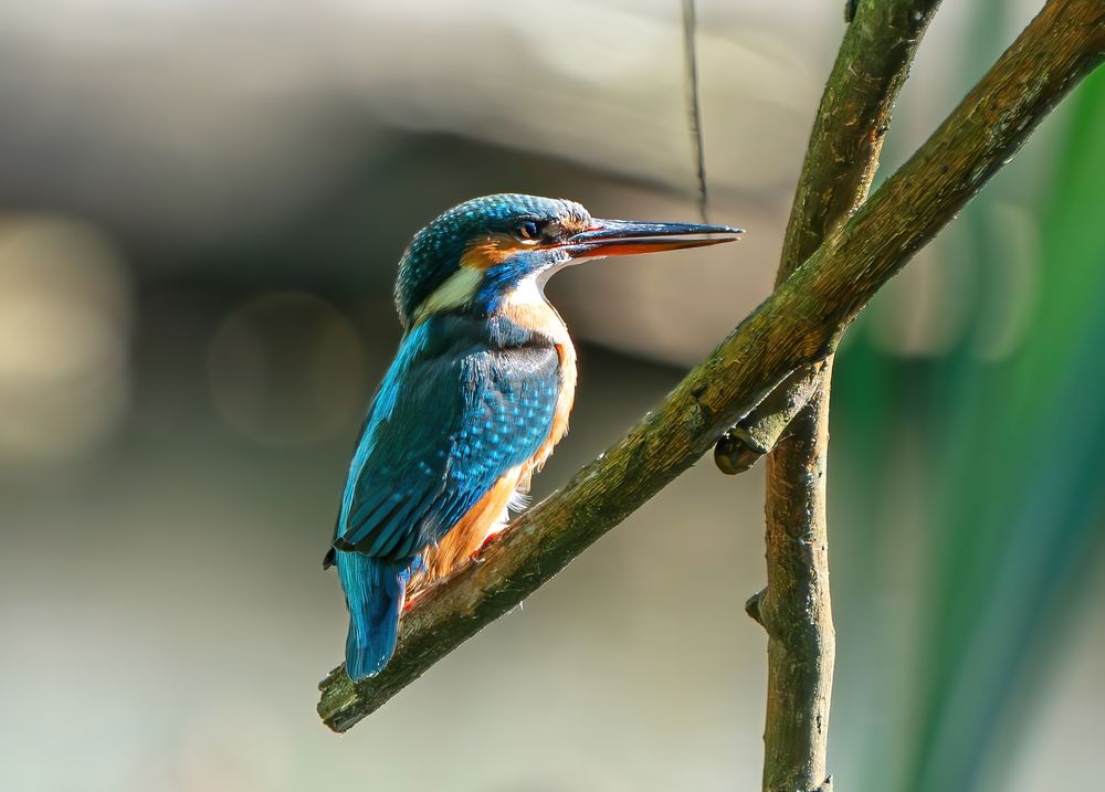 Photograph by Viktor Makarov