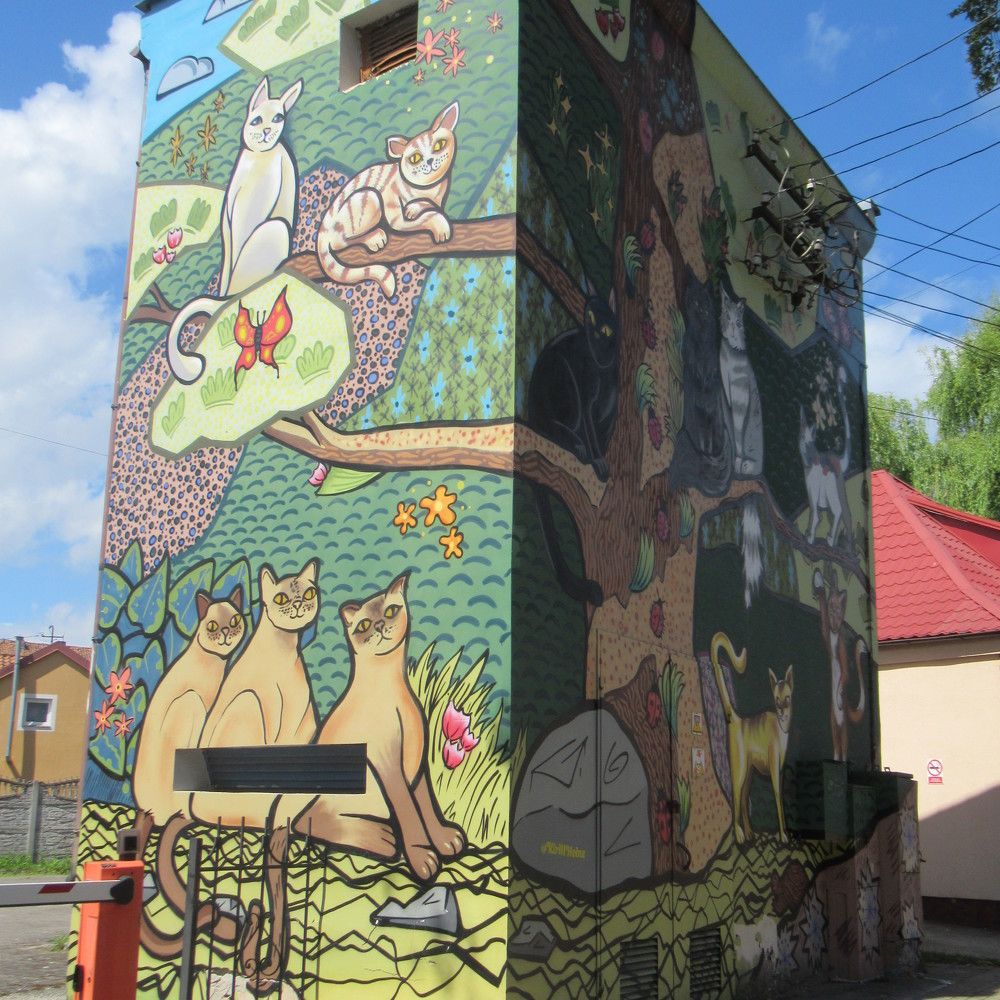 Photograph by Ирина Шведчикова