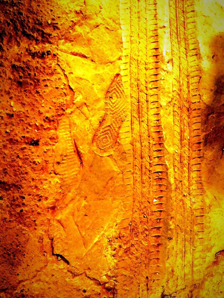 Photograph by Владимир Ким