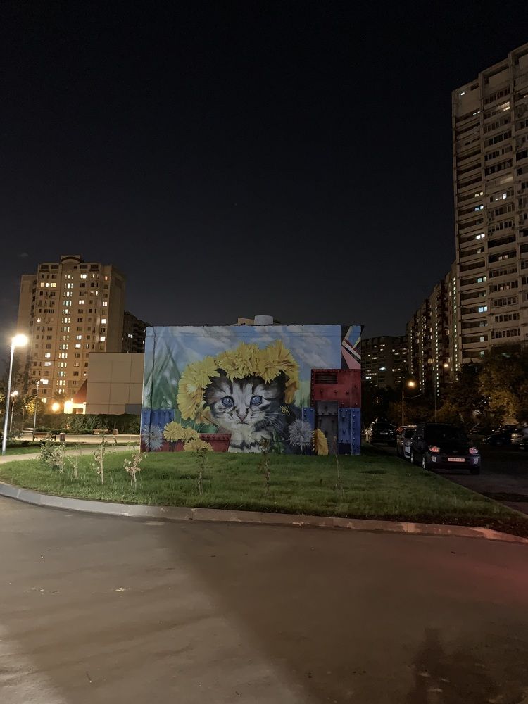 Photograph by Юлия Давшан