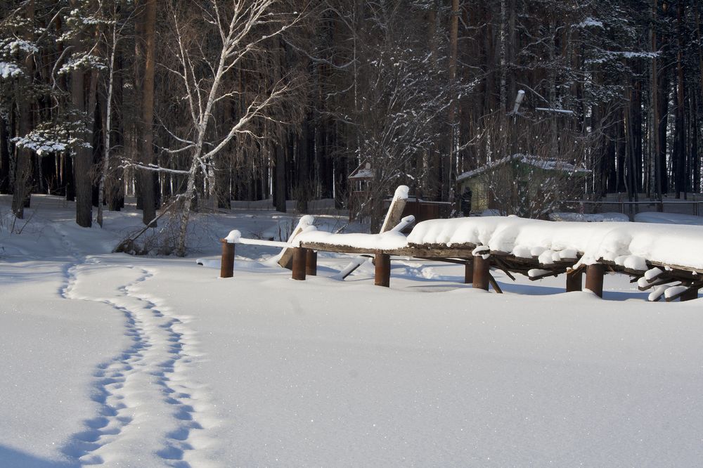 Photograph by Панюшкин Андрей