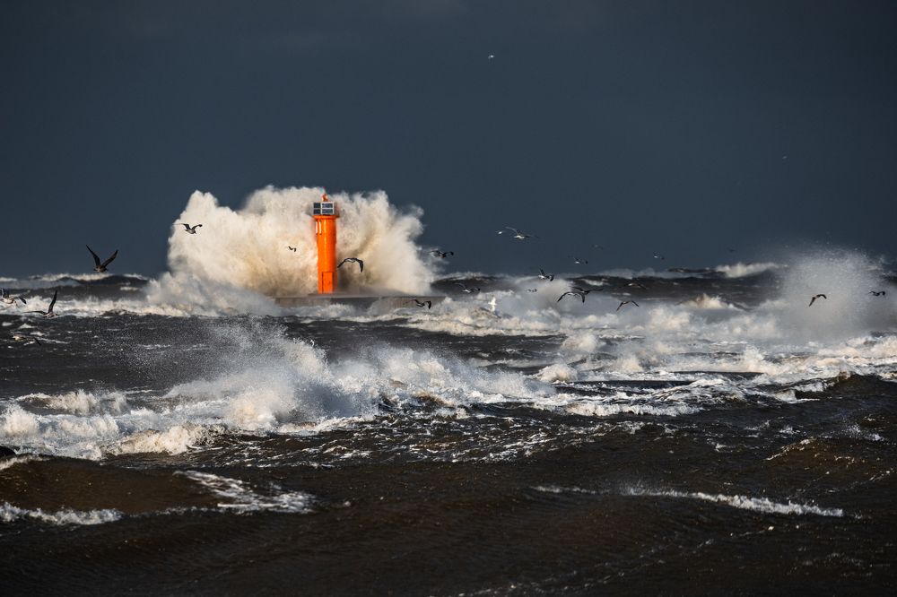 Photograph by Dace Spalvina