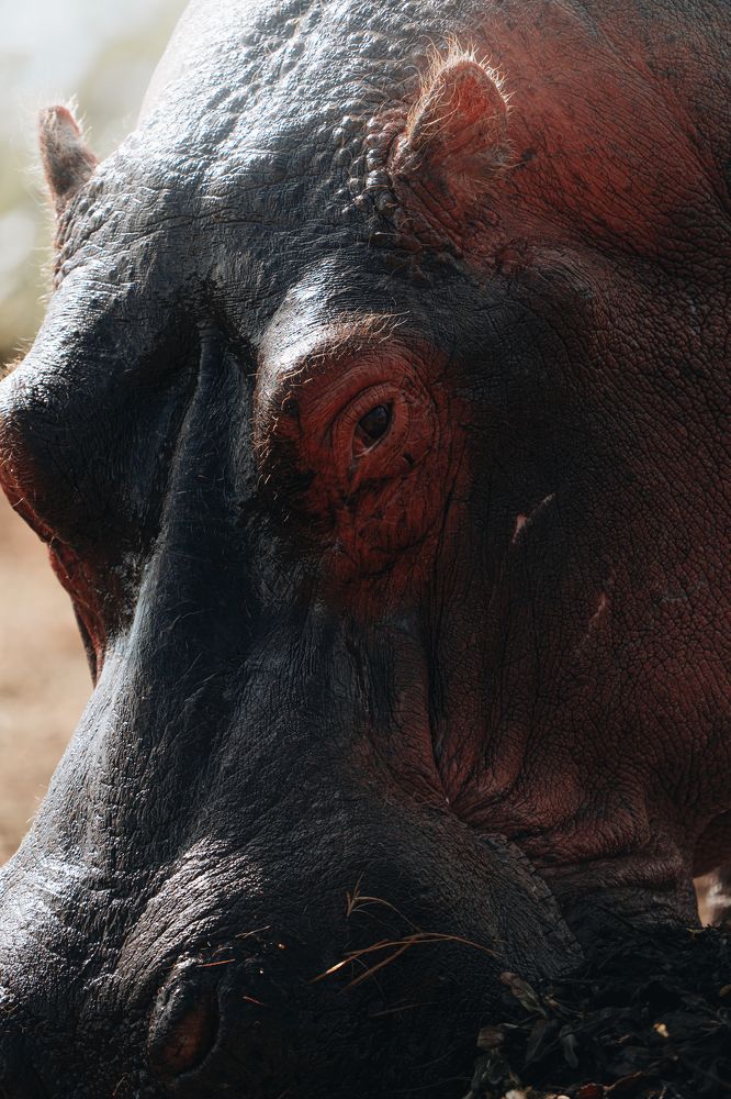 Фотография автора Фуад Алиев