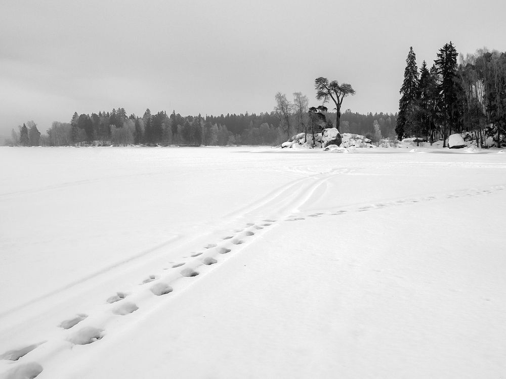 Photograph by Шутов Владимир