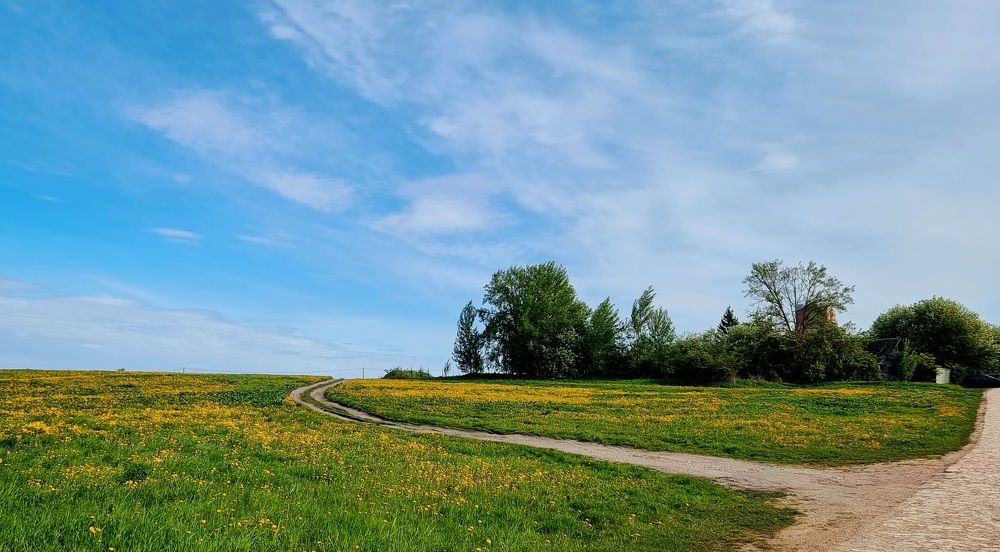 Photograph by Gr Marie