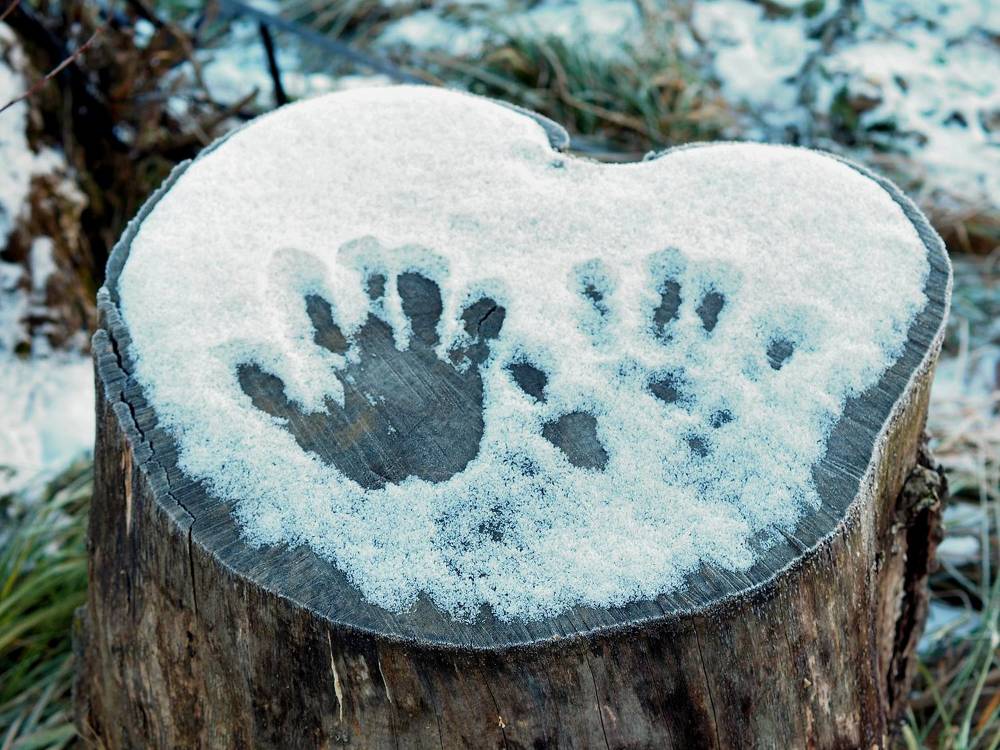 Photograph by Андрей Михайлин