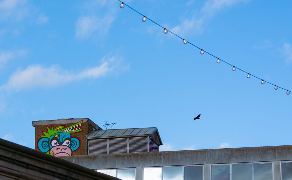 Photograph by Бочина Оксана