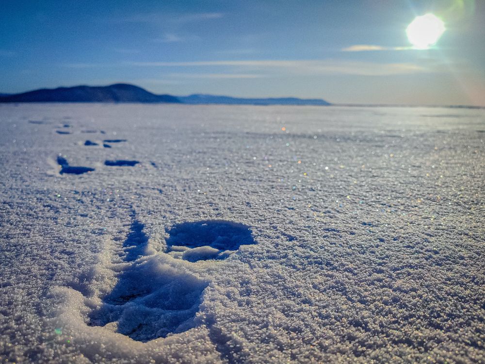 Фотография автора Нина Зинченко