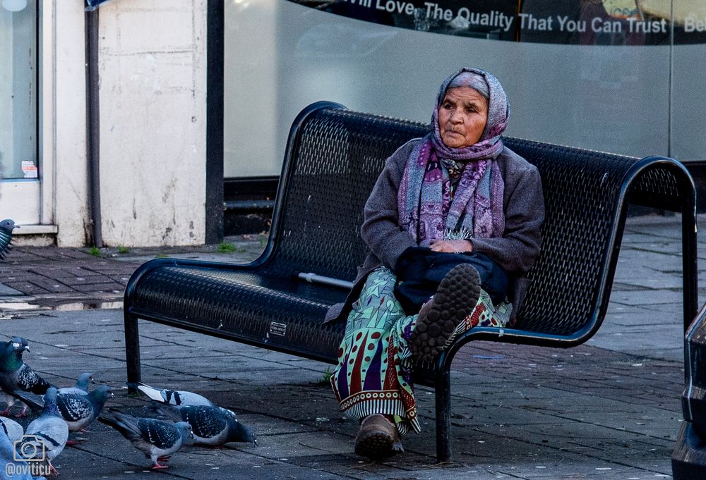 Фотография автора OVIDIU-IOAN TICU