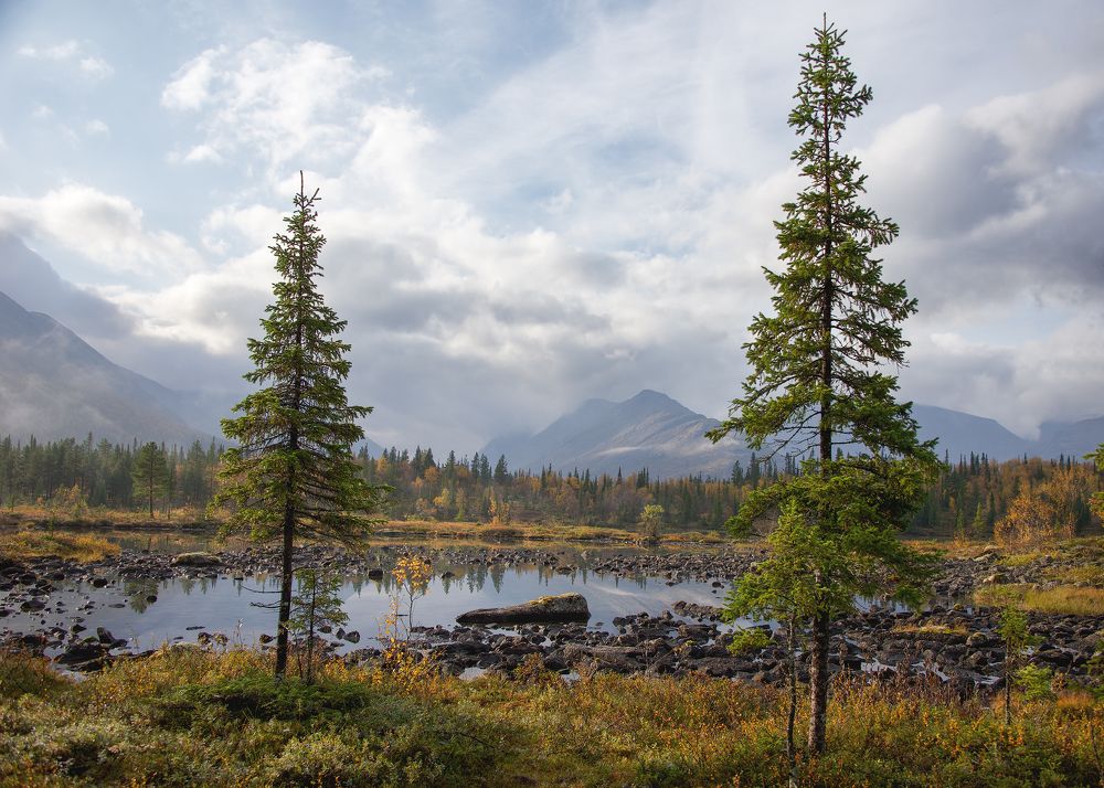 Фотография автора Ольга Белоусова