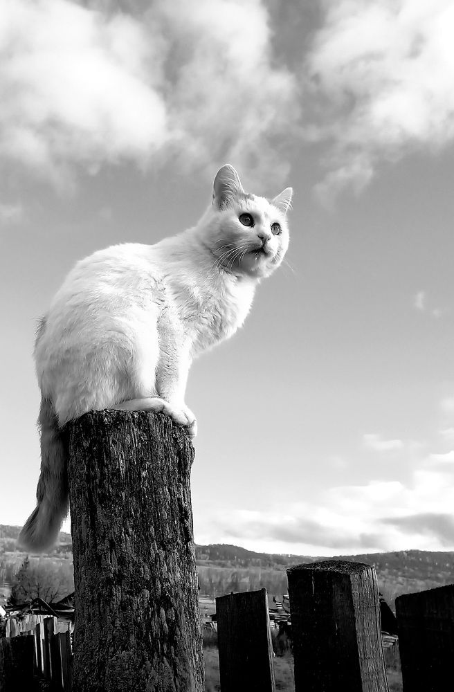 Photograph by Назмутдинова Сауия